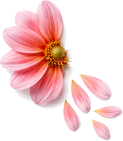 LOSS OF CONTEXTUAL SIGNALS