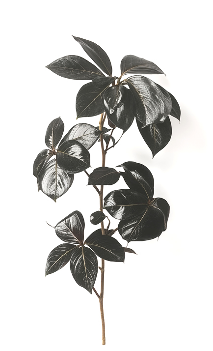 what happens when AI can't interpret your website?